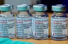 Más de 97 mil dosis de la vacuna Pfizer/BioNtech llegaron a Vietnam