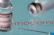 Llegarán a Vietnam dos millones de dosis de la vacuna Moderna contra el COVID-19