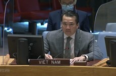 Insta Vietnam a estabilizar situación en la República Democrática del Congo
