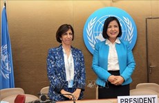 Vietnam elegido vicepresidente de grupo de expertos de UNCTAD