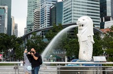 Singapur refuerza el control de la entrada de turistas procedentes de Indonesia
