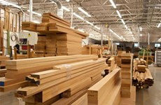 Exportaciones de madera de Vietnam a Unión Europea aumentan 36,4 por ciento