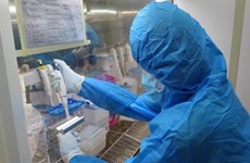Vietnam amanece con mil 438 nuevos casos del COVID-19
