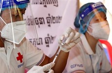 Camboya reporta 790 nuevos portadores del COVID-19
