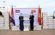 Vietnam agradece apoyo de Camboya para enfrentar COVID-19 