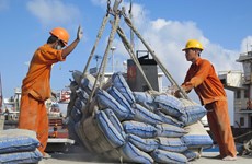 En alza exportaciones de cemento de Vietnam en primera mitad del año