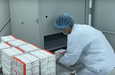 Avanza Vietnam en cooperación para transferencia de tecnología de vacunas contra COVID-19