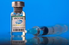 Vietnam recibirá casi 50 millones de dosis de la vacuna Pfizer para finales de 2021
