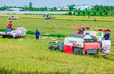 Australia respalda agricultura de alta tecnología en Vietnam 