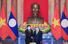 Visita del presidente de Vietnam a Laos evidencia solidaridad especial binacional
