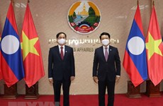 Promueven cooperación entre cancillerías de Vietnam y Laos 