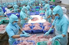 Publican informe sobre impacto económico de pesca ilegal, no documentada y no reglamentada en Vietnam