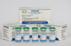 Seleccionan a los elegibles para ensayo clínico de vacuna vietnamita contra COVID-19