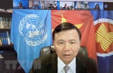 Vietnam: Medidas antiterrorismo deben respetar Carta de ONU