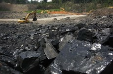 Advierten a empresas vietnamitas limitar negocios con exportadores de carbón indonesios sancionados