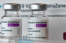 Vietnam recibe más de 500 mil dosis de vacunas AstraZeneca de Polonia