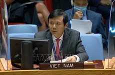 Vietnam exhorta a garantizar la seguridad del proceso electoral en Iraq