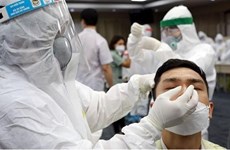 Vietnamitas en el exterior donan 40 mil mascarillas sanitarias a Ciudad Ho Chi Minh