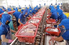 Ventas de productos acuícolas de Vietnam disminuyen debido al COVID-19