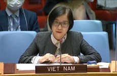 Vietnam llama a impulsar diálogo sobre cuestión palestina