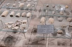 Descubren numerosas herramientas prehistóricas en provincia vietnamita
