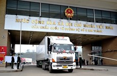 Reanuda Vietnam exportación de plátano fresco a China