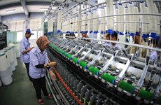 Indonesia intensifica papel de pymes en cadena de suministro