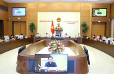 Comité Permanente del Parlamento de Vietnam revisa la aplicación de documentos legales