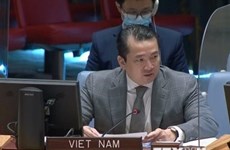 Vietnam participa en debates de la ONU sobre Sudán del Sur y Siria