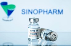 Vietnam adquirirá 20 millones de dosis de la vacuna Vero Cell