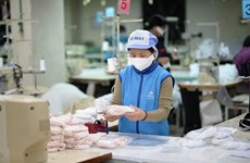 Vietnam exporta más de 15 millones de mascarillas en agosto