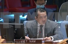 Destaca Vietnam reanudación de negociaciones del Gobierno y la oposición en Siria