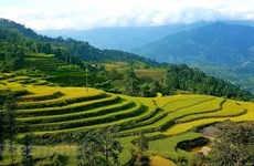 Vietnam se empeña en garantizar seguridad en turismo pos-COVID-19