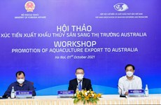 Crecen exportaciones de productos acuáticos vietnamitas a Australia