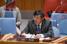 Vietnam lamenta expulsión de Etiopía de altos funcionarios de la ONU