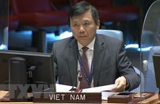 Vietnam convoca apoyo internacional para la República Democrática del Congo