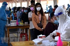 Provincia vietnamita de Dong Nai apoya la recuperación de operaciones de empresas