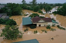 Vietnam une esfuerzos con el mundo por reducir desastres naturales