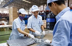 Sector privado juega papel cada vez más importante en la economía vietnamita