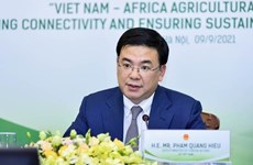 Resaltan significado de asistencia de Vietnam al debate sobre lazos la ONU-Unión Africana