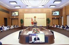 Parlamento vietnamita analiza enmiendas a regulaciones de indicaciones geográficas