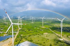 Vietnam pone en operación comercial 42 plantas eólicas