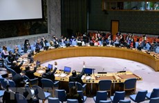 La ONU prorroga sus misiones en Sáhara Occidental y Colombia