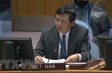 Vietnam desea promover cooperación con Corte Internacional de Justicia en formación de personal