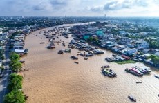 Presentan propuestas para promover desarrollo sostenible en Delta del río Mekong de Vietnam