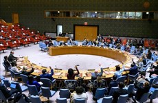 Vietnam llama a la plena observancia del derecho internacional humanitario en Etiopía