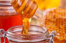 Vietnam por garantizar estabilidad de exportaciones de miel a Estados Unidos