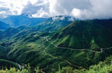 USAID apoya a provincia vietnamita en conservación de biodiversidad forestal
