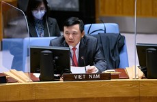 Vietnam apoya las operaciones de mantenimiento de paz de la ONU