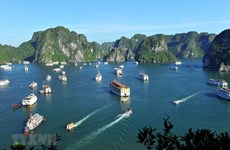 Vietnam conquista galardones en Premio Mundial de Viajes 2021